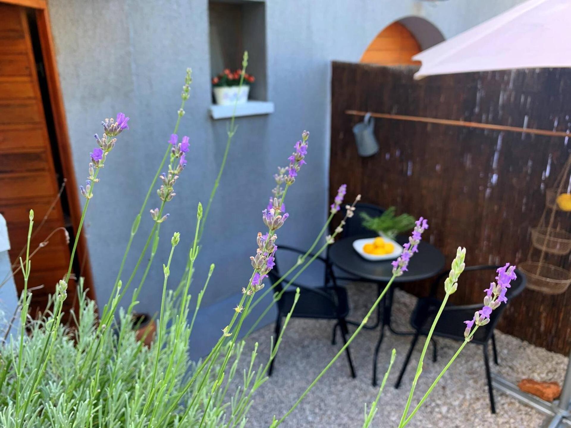 שילו Apartments Savic מראה חיצוני תמונה